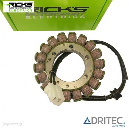 STATOR TRIUMPH DAYTONA 600 650 TT 600 SPEED FOUR 600 (2000-2005) RICK'S MOTORSPORT ELECTRICS - 2