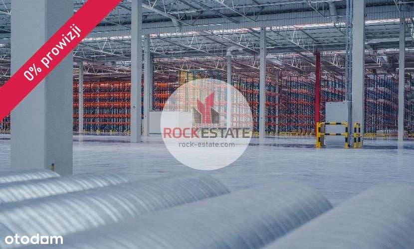 Magazyn 3900 m2 produkcja od zaraz Janikowo Poznań - Pełny obrazek: 5/6