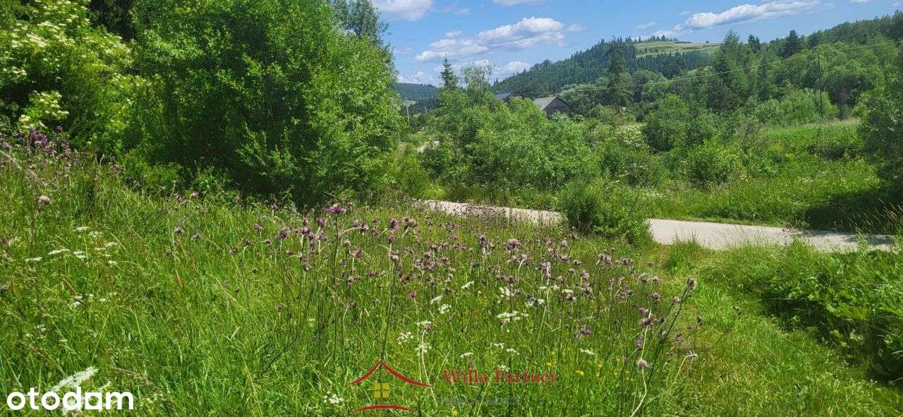 Działka w górach (bud-rol.1100m2) - Pełny obrazek: 4/8