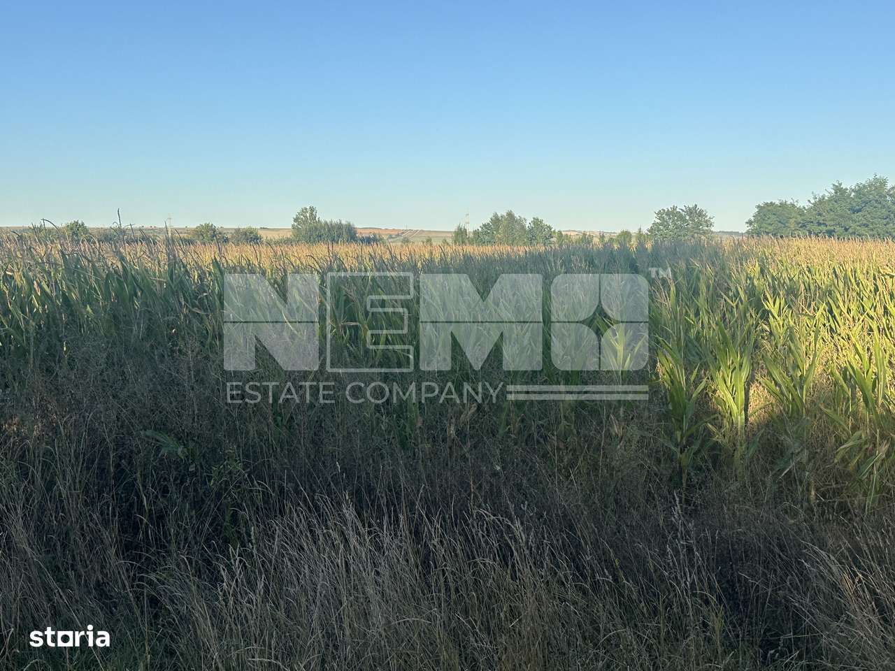 Teren Siret E85 | 2500MP | Toate Utilitățile - Imagine principală: 4/5