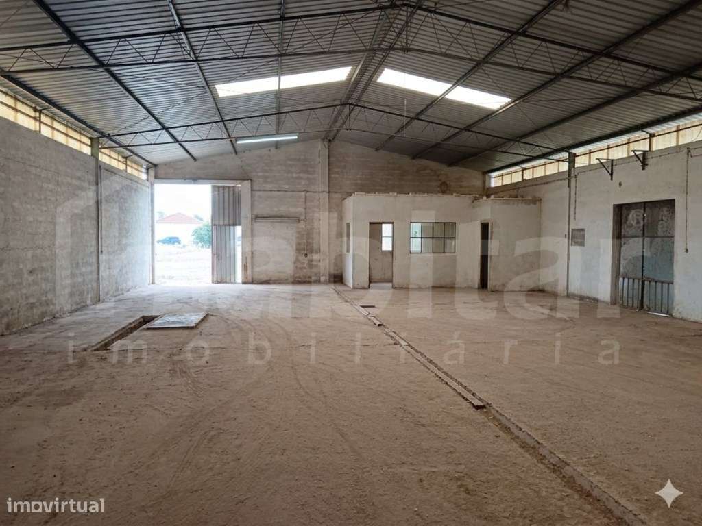 Terreno Urbano com 3.893 m², com Armazém com 288 m² - Benavente-10