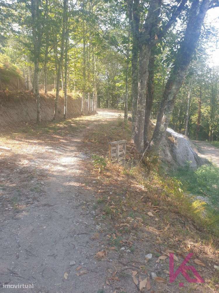 QUINTA LUFREI - Grande imagem: 3/10