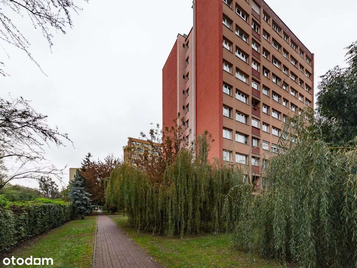 2 pokoje, idealny rozkład, świetna lokalizacja-18