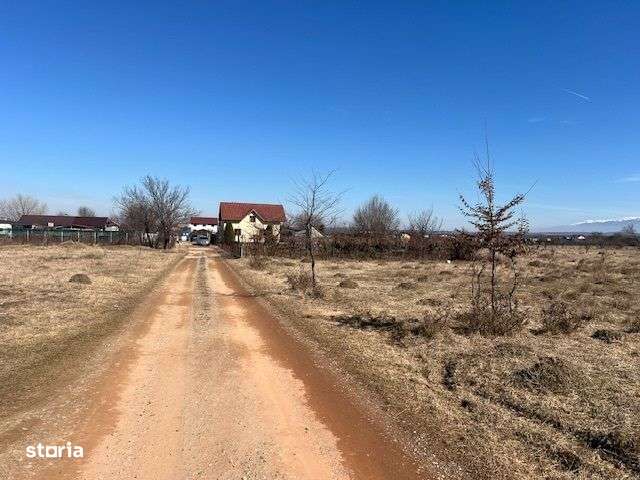 Teren intravilan 859 mp in Calea Cisnadiei, constructii case insiruite - Imagine principală: 3/6