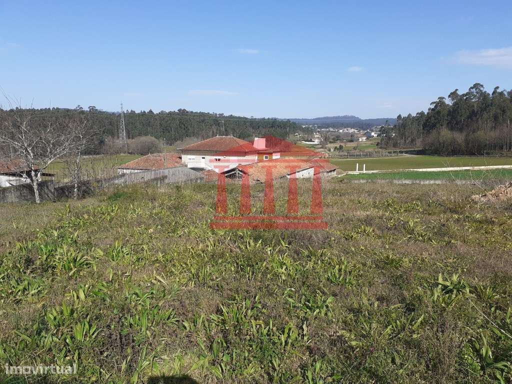 TERRENO PARA CONSTRUÇÃO - Grande imagem: 5/13