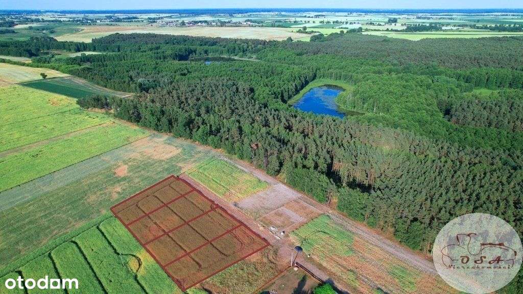 Działka rekreacyjna z Wz 945 m2 blisko jeziora - Pełny obrazek: 4/13