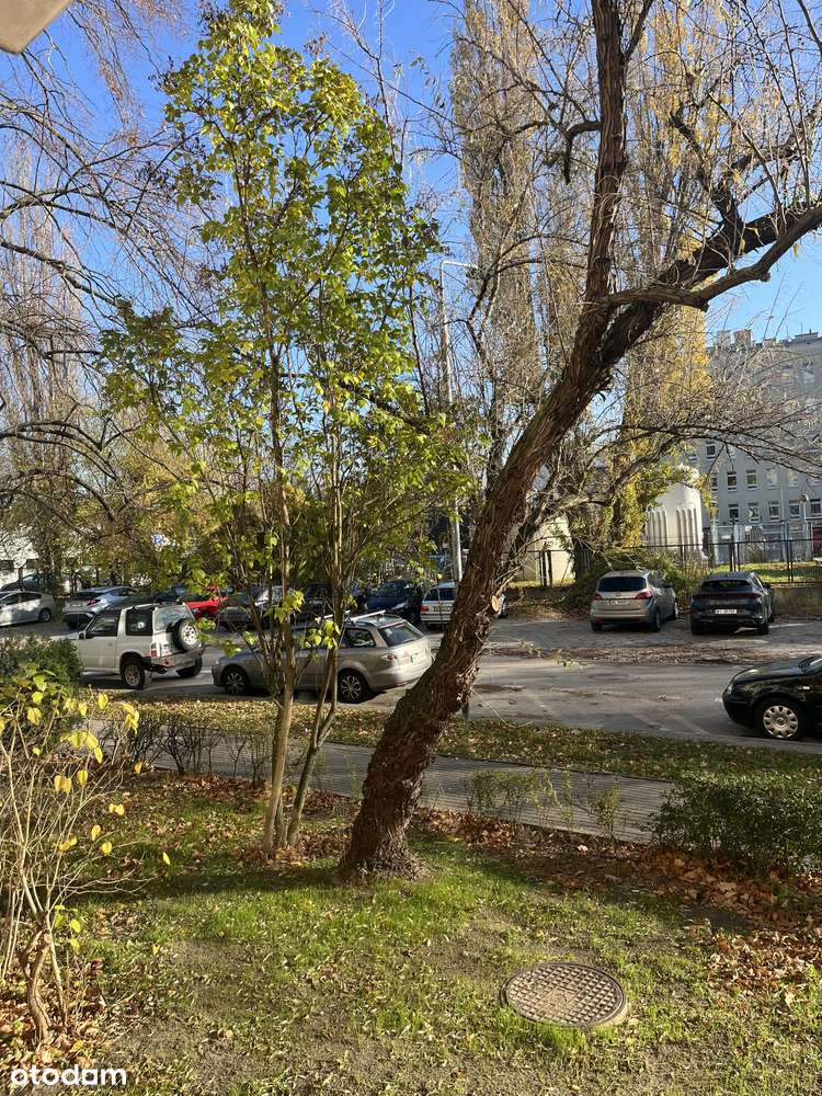 2 pokoje blisko Domaniewskiej super lokalizacja- inwestycyjne!-10