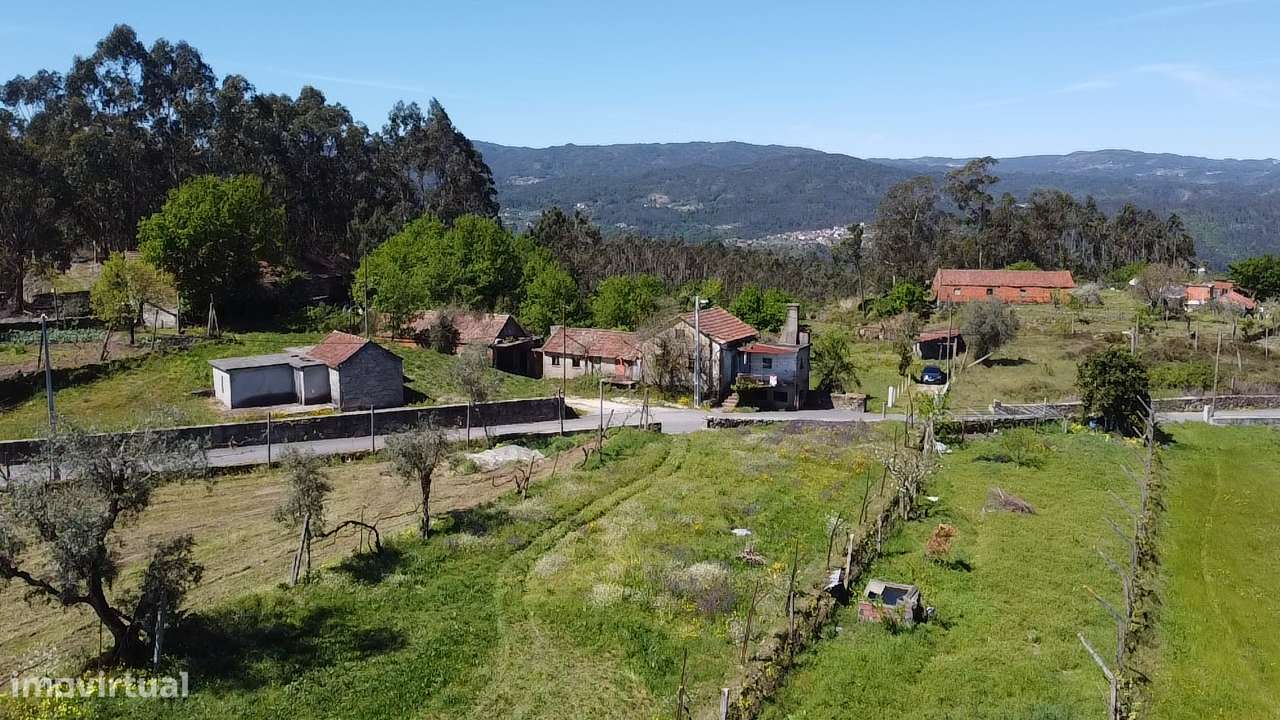 Quintinha – Oliveira de Frades-18