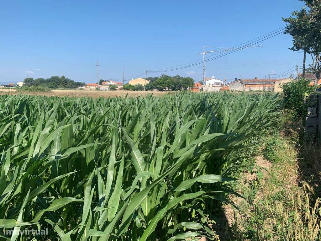 TERRENO C/ 18 METROS DE FRENTE - SANTA JOANA - Grande imagem: 4/6