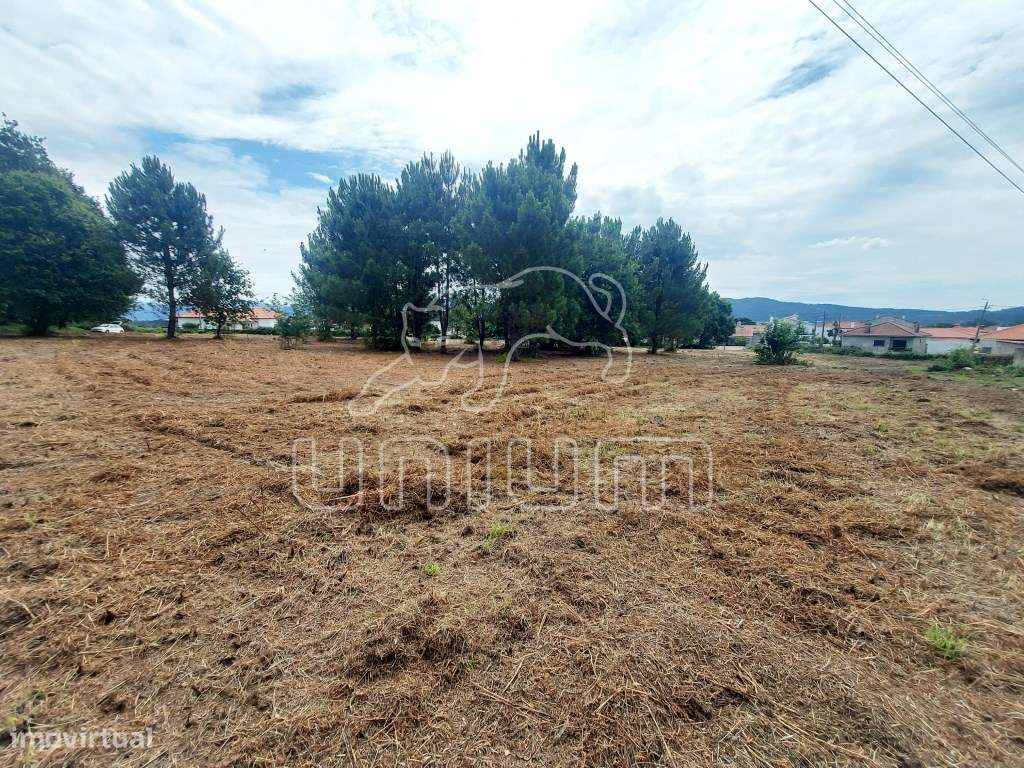 TERRENO - Cardielos, Viana do Castelo - Grande imagem: 5/7