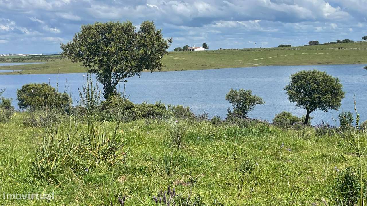 Terreno na Margem Alqueva-19