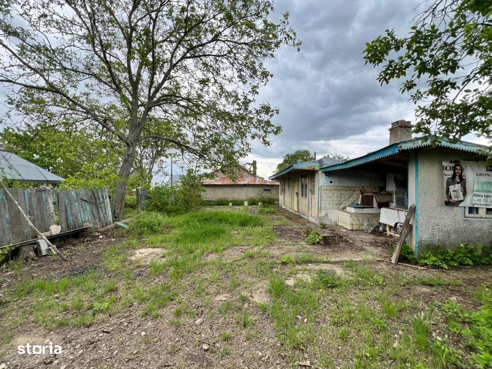 Casa + teren 4430 mp, vie si pomi fructiferi, 22 km de Tecuci-9