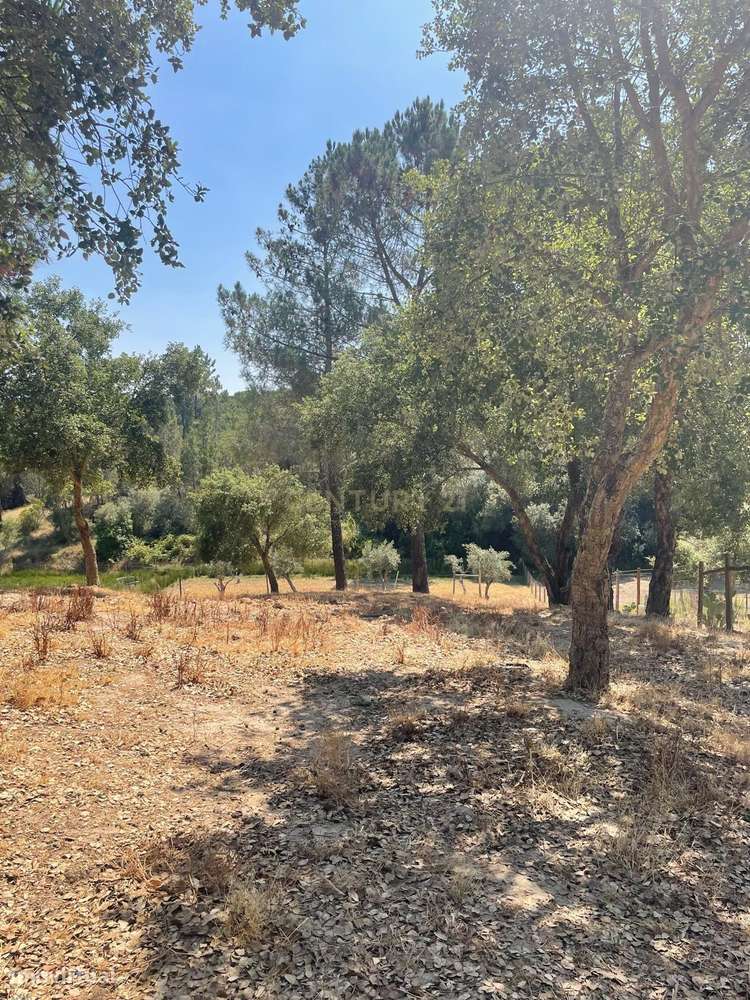 Terreno rústico com 3125m2 e localizado em Vale do Carvoeiro, Lavre - - Grande imagem: 4/17