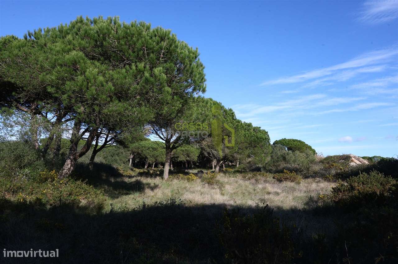 Terreno Rústico com 4.680m2 a venda na Terrugem-8