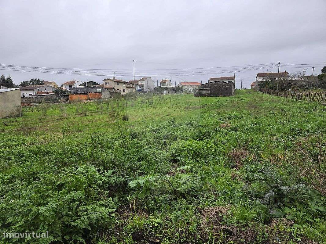 Terreno  para venda - Grande imagem: 5/6