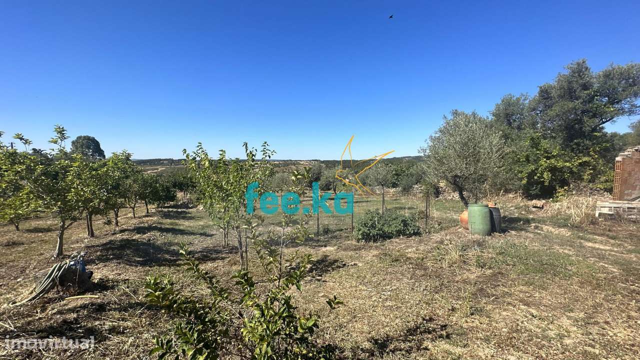 Quintinha em Monfortinho-33