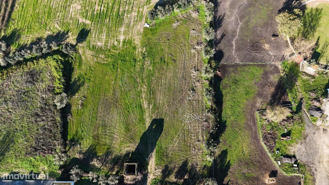 Terreno para construção - Oportunidade de Investimento no Centro de Al - Grande imagem: 4/15