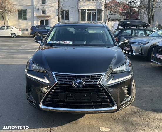 Lexus Seria NX 300h AWD Business Plus - 2