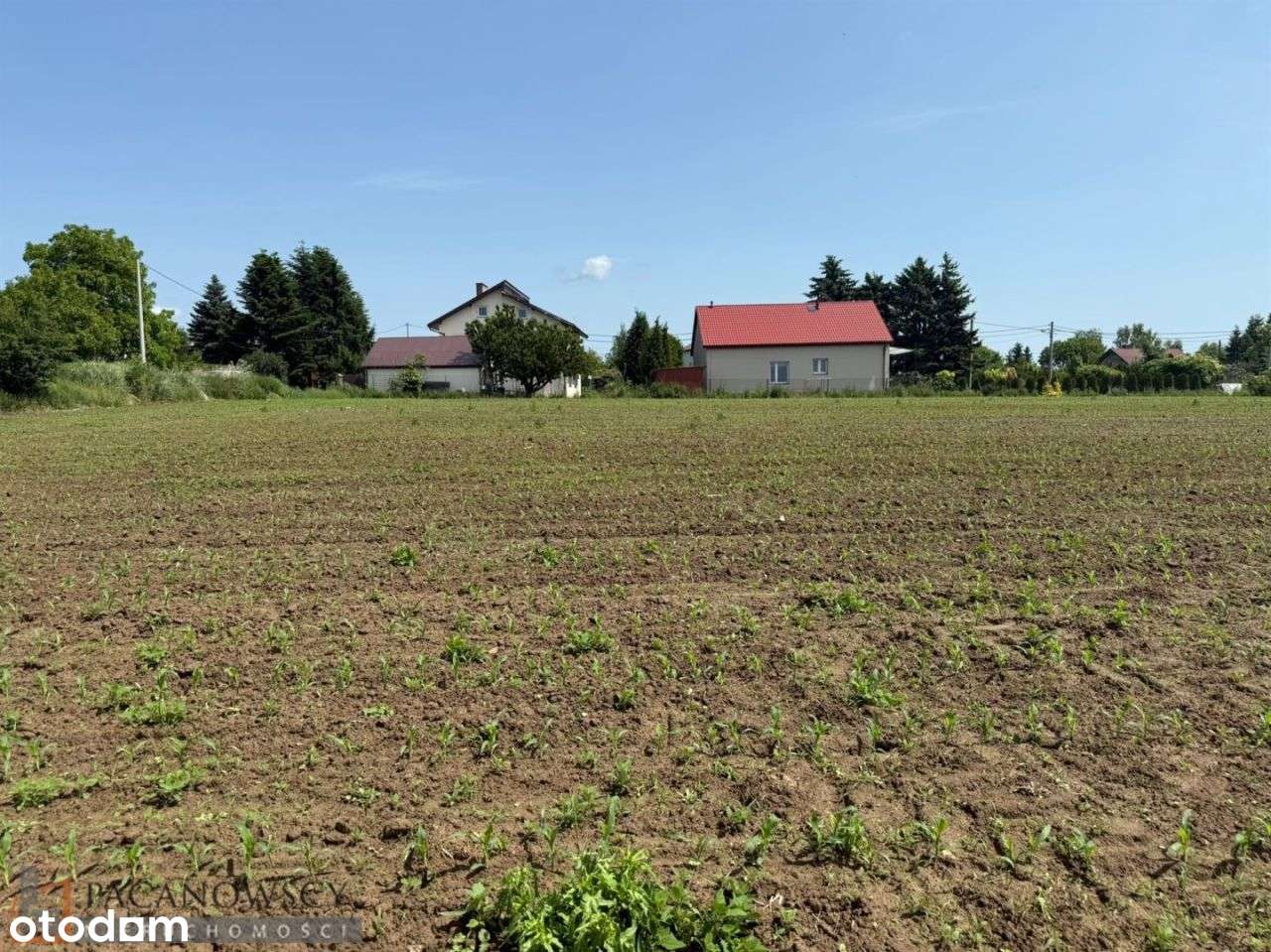 Działka, 11 059 m², Górna Wieś - Pełny obrazek: 4/6