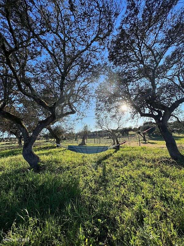 Terreno  para venda - Grande imagem: 4/7