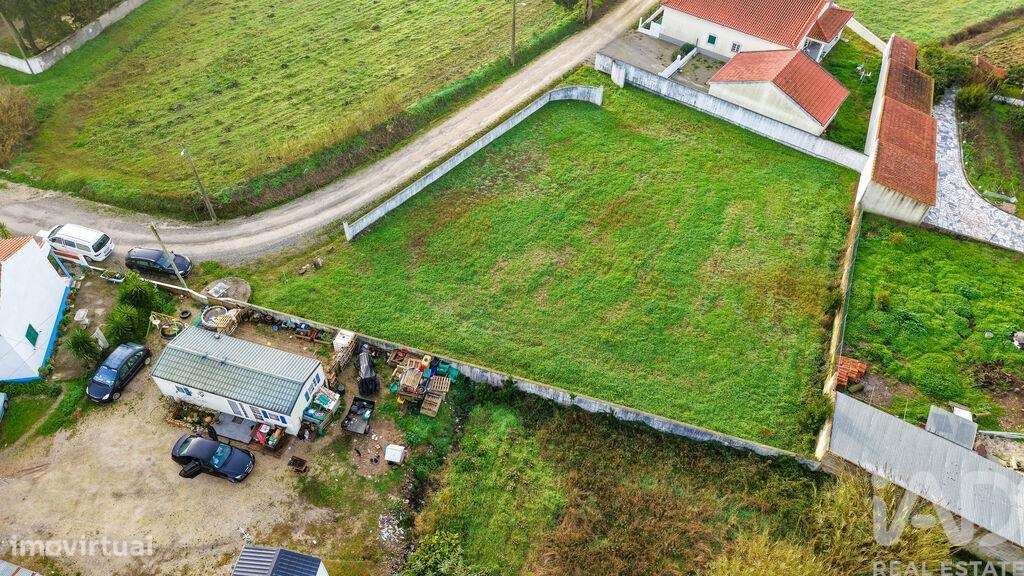 Terreno Agrícola em Miragaia e Marteleira - Grande imagem: 5/25