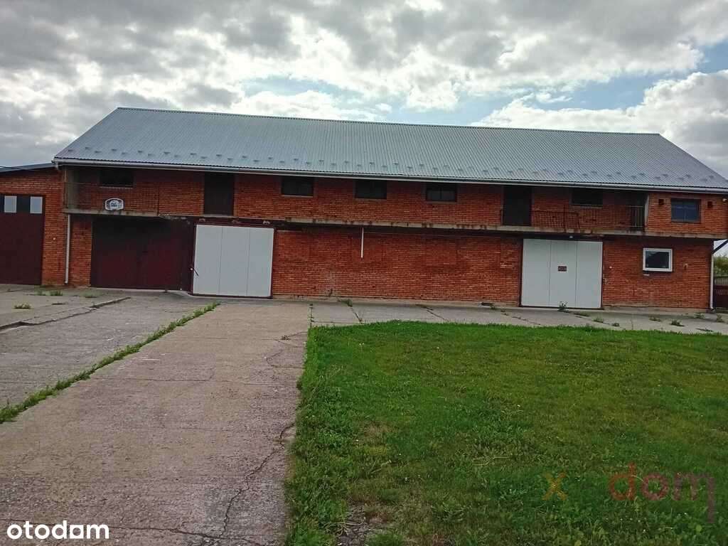 Dom w m. Skorczów k. Kazimierzy Wielkiej. - Pełny obrazek: 5/8