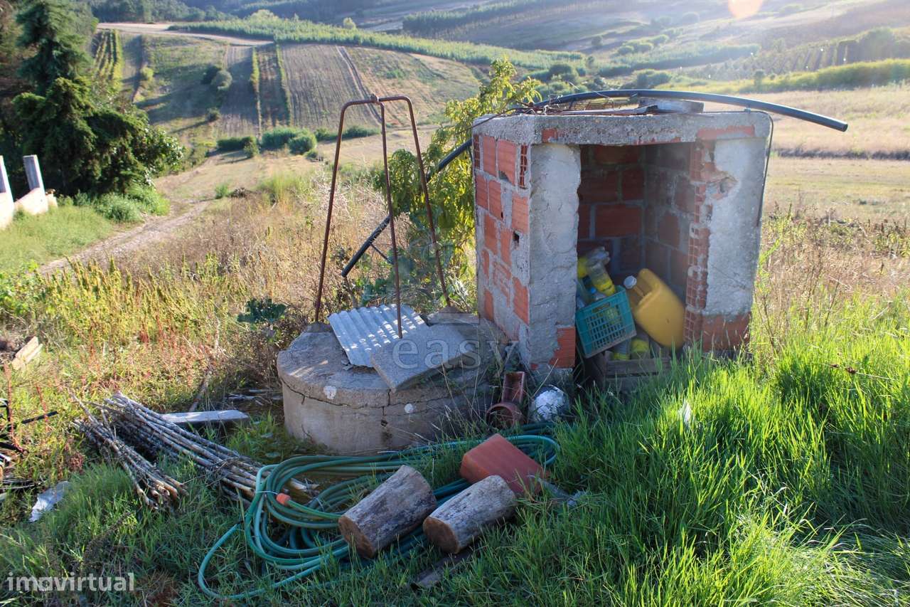 Terreno Para Construção  Venda em Bombarral e Vale Covo,Bombarral - Grande imagem: 5/21