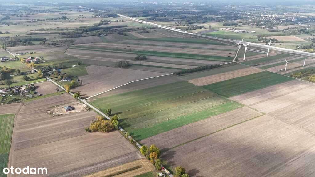 działka rolna i 3 budowlane  Zduńska Wola S8 Łódź - Pełny obrazek: 5/13