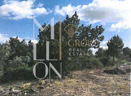 Terreno Rochoso-  1238 - Grande imagem: 2/3