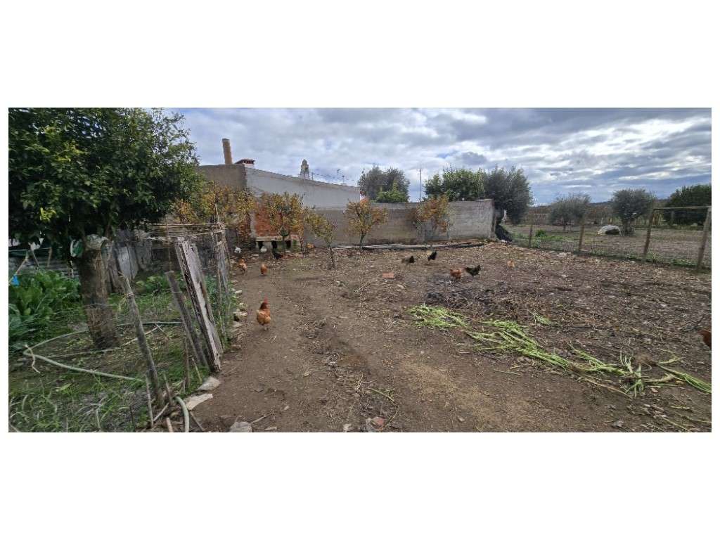 LOTE URBANO c/ 3 Moradias-27