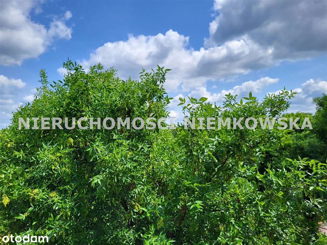 Świetna Lokalizacja, Parking ZA Szlabanem-0