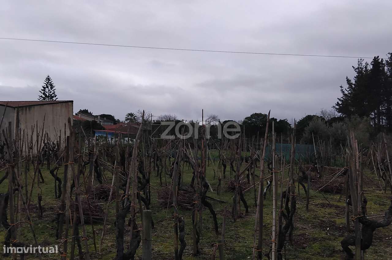 Terreno Urbanizável com 770m2 em Paredes do Bairro - Anadia - Grande imagem: 5/15