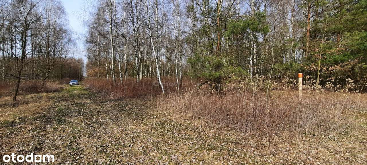Działka na sprzedaż, Dąbrówka-Niwka - Pełny obrazek: 4/8