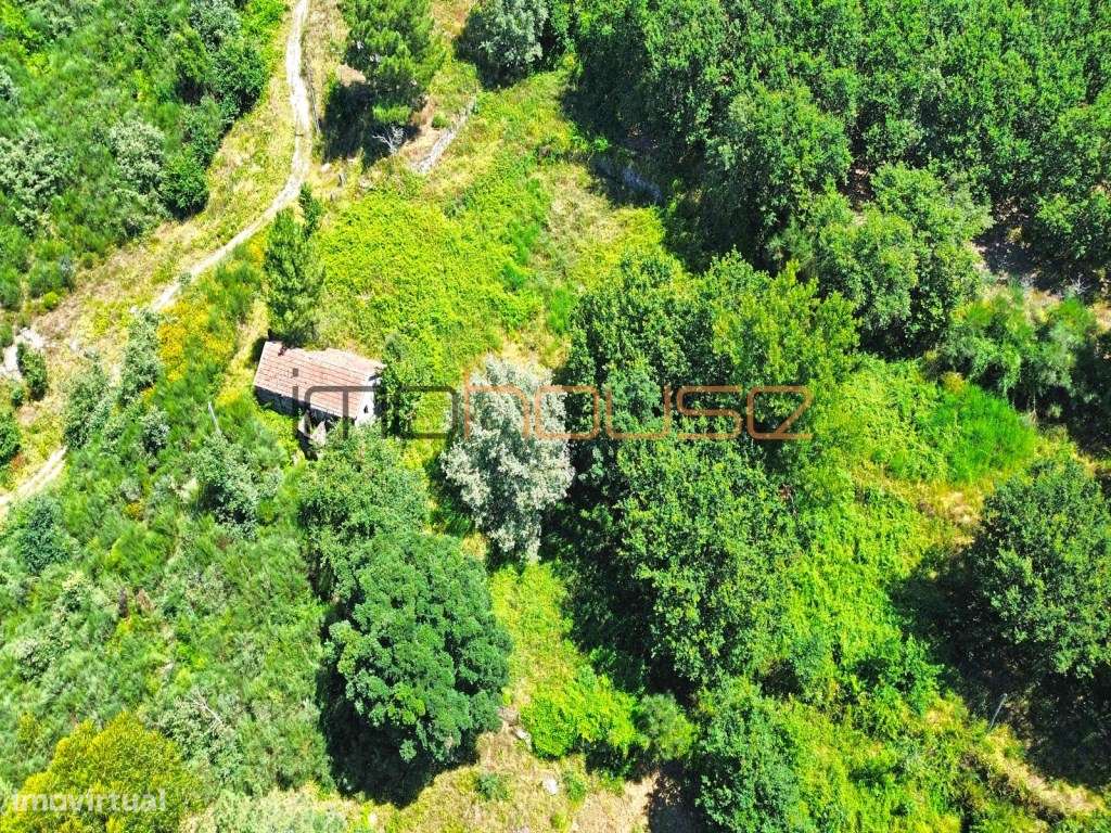 Quinta isolada - Amarante-35