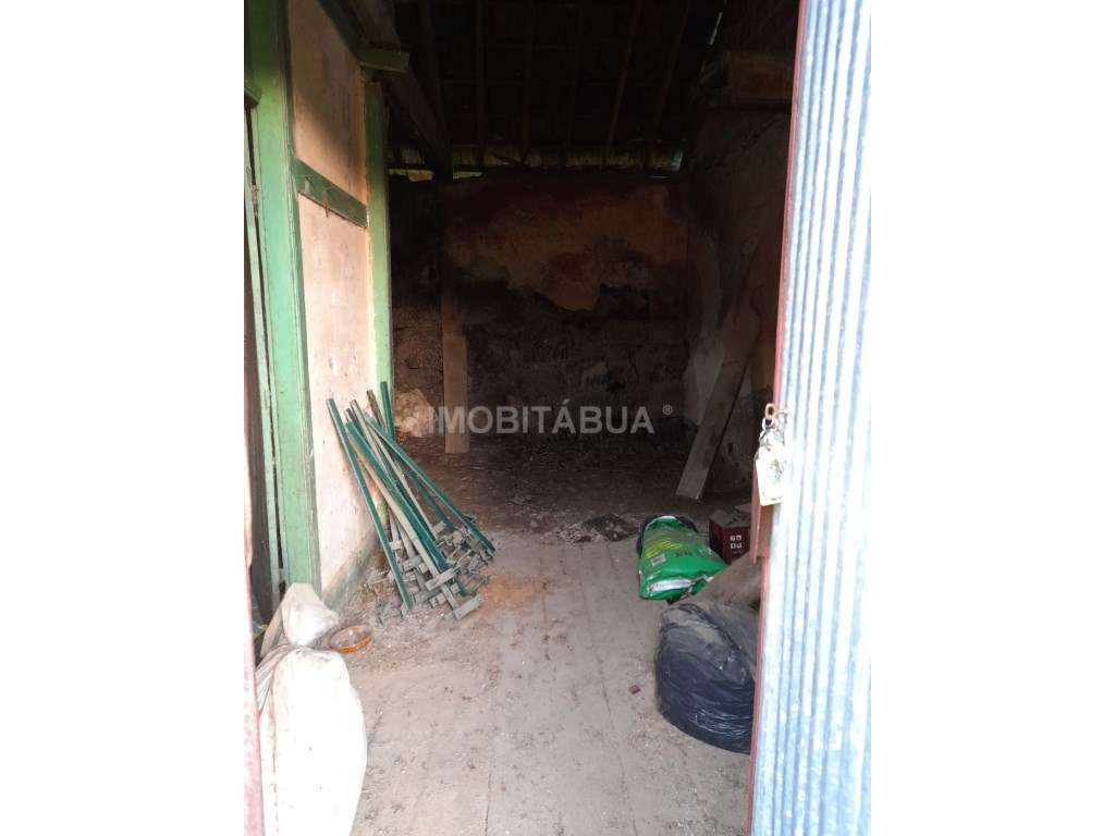 Quinta de Mirtilos com mais de 3 Hectares, localizada perto de Tondela-13