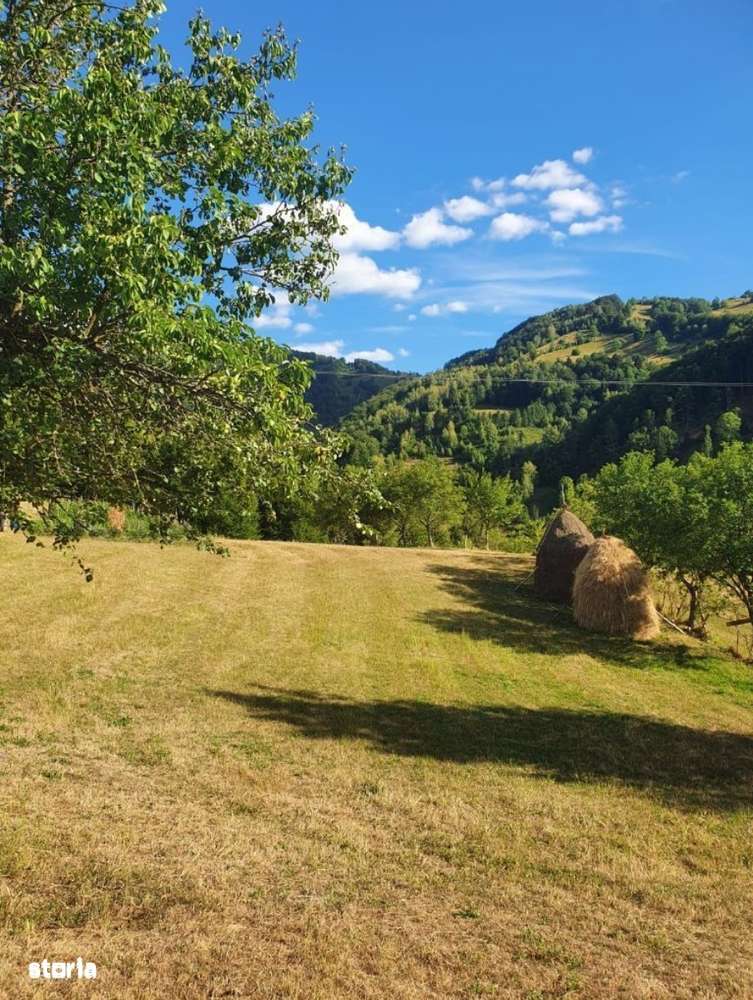 Teren intravilan 10.100 mp + Cabanuta amenajata - Imagine principală: 4/6