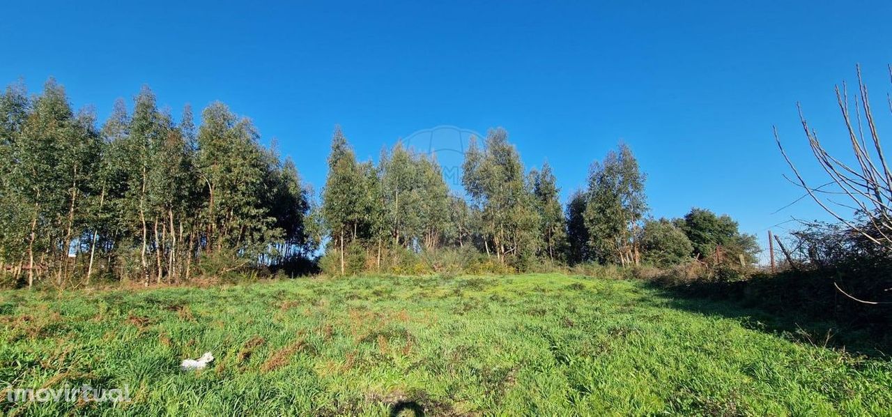 Terreno  para venda