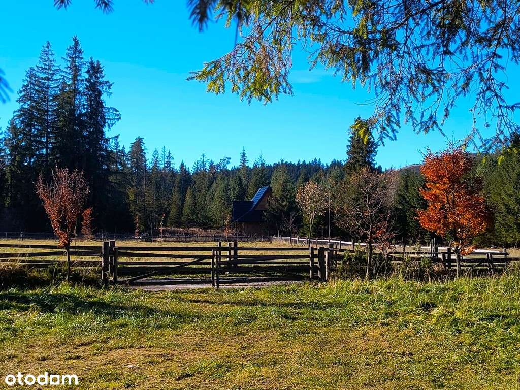 Widokowa działka w Witowie o pow. 715 m2-3