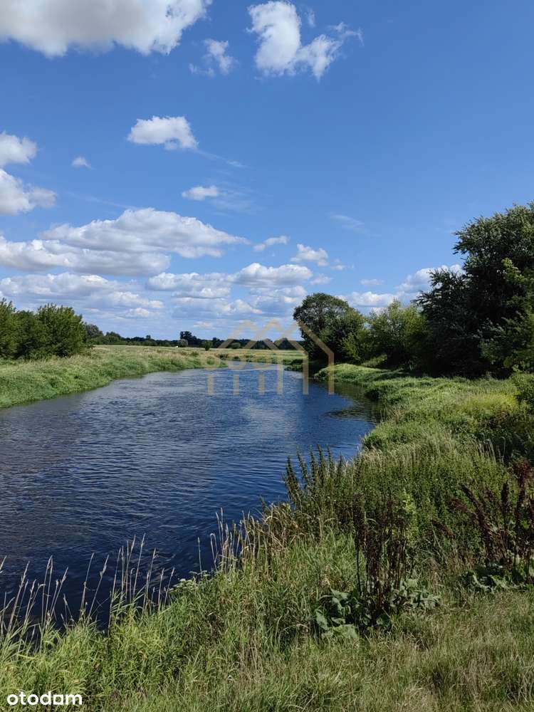 Działka 6100 m² – Kamion Mały, gmina Młodzieszyn - Pełny obrazek: 4/4