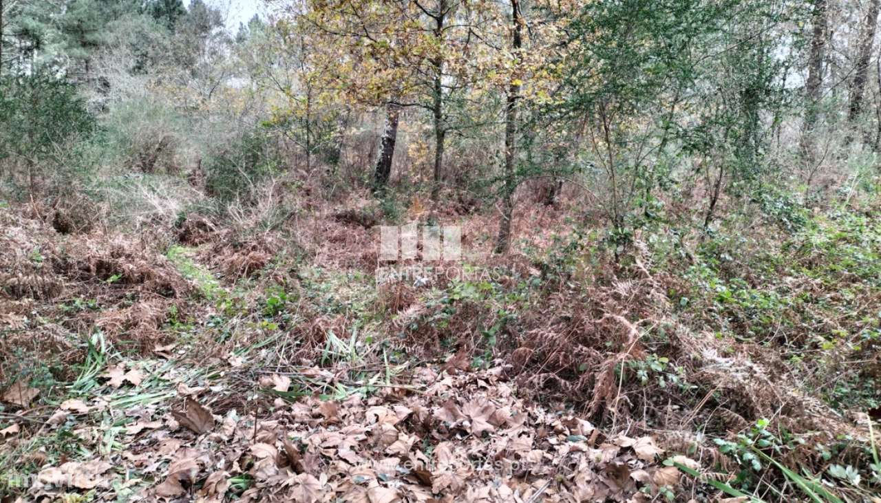 Venda Terreno, Gondar, Amarante - Grande imagem: 5/19