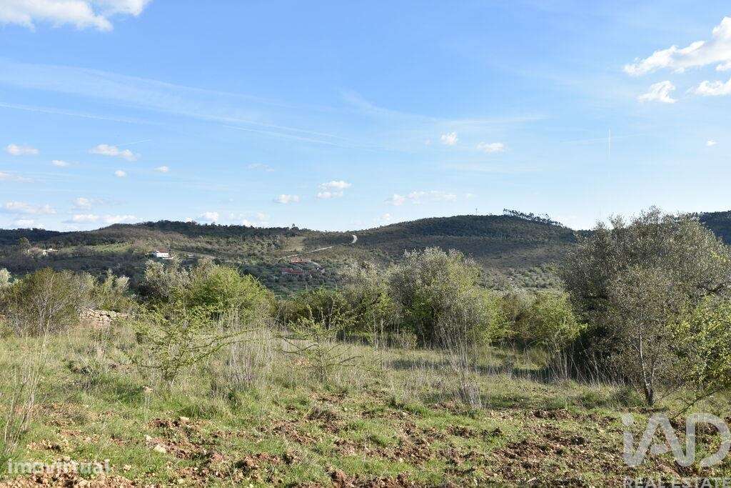 Terreno Agrícola em Chãos - Grande imagem: 5/32
