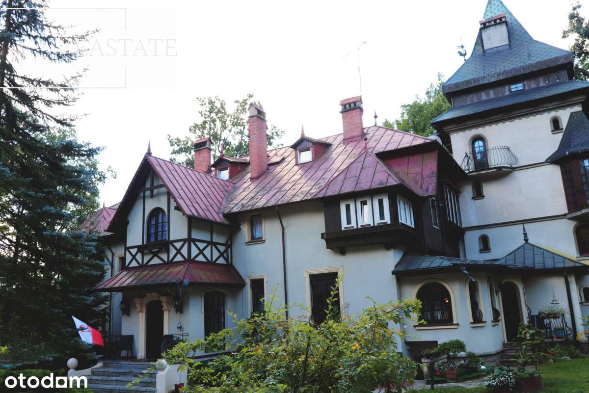 Zabytkowy pałacyk z wieloma możliwościami - Pełny obrazek: 2/18