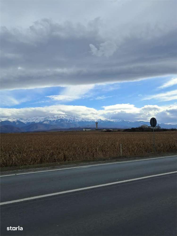 Teren 5000 mp langa E68 - Imagine principală: 3/8