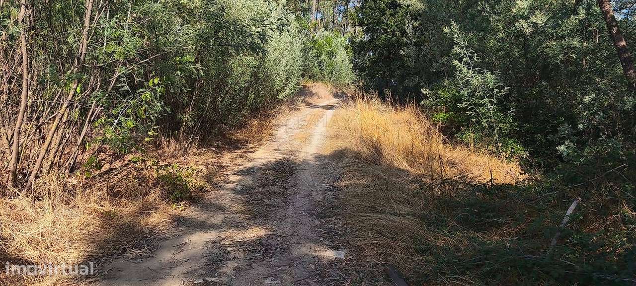 Terreno  para venda - Grande imagem: 4/9