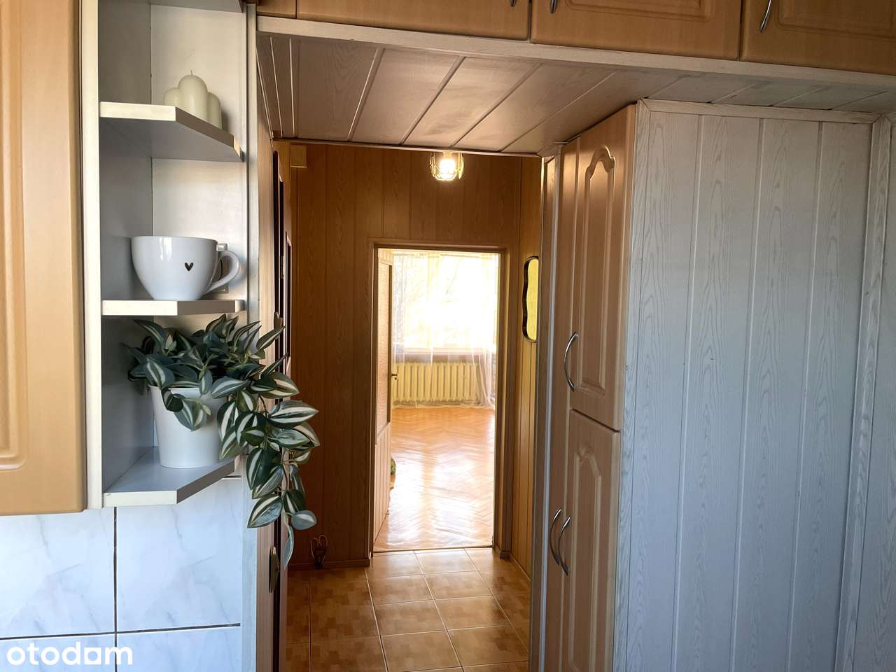 Dwa duże pokoje skąpane słońcem-8