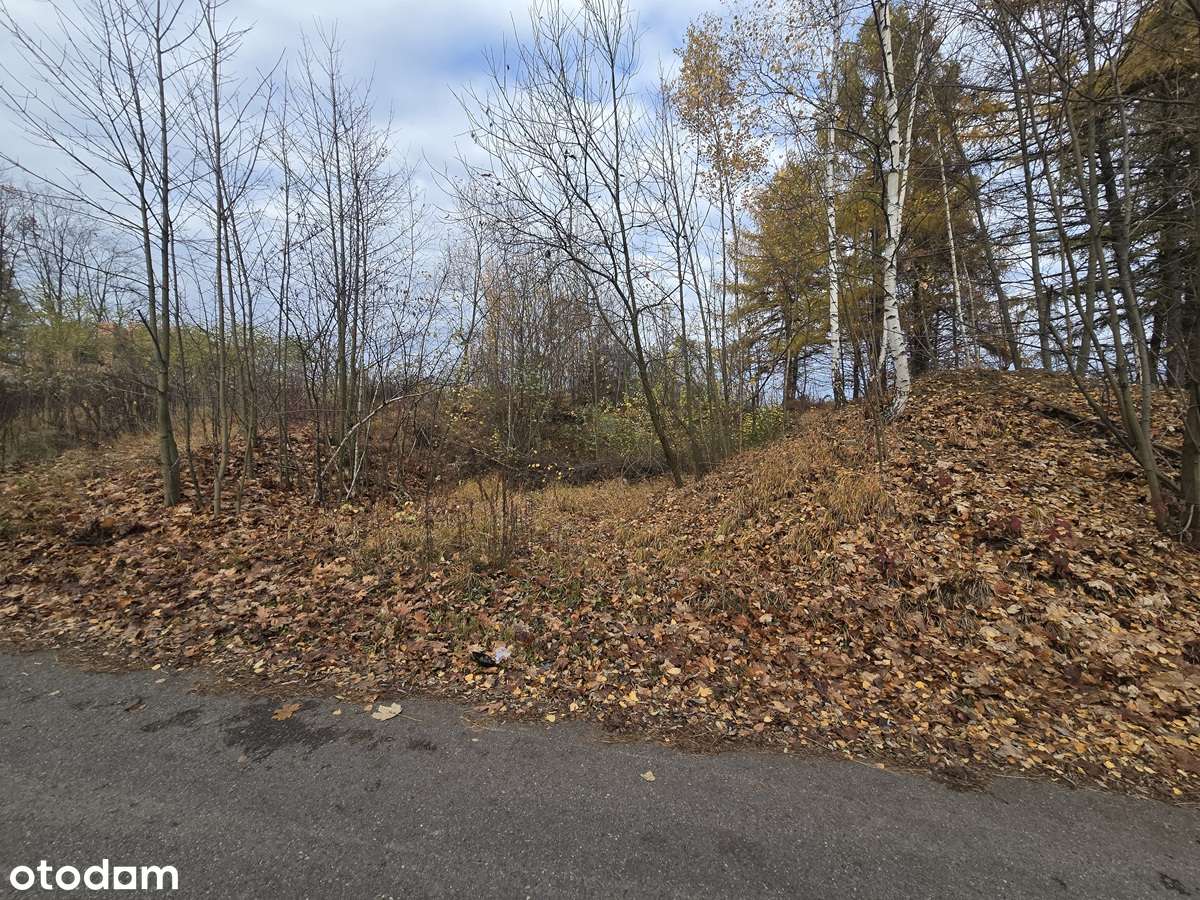 Brzękowice gm. Psary widokowa działka budowlana - Pełny obrazek: 5/6