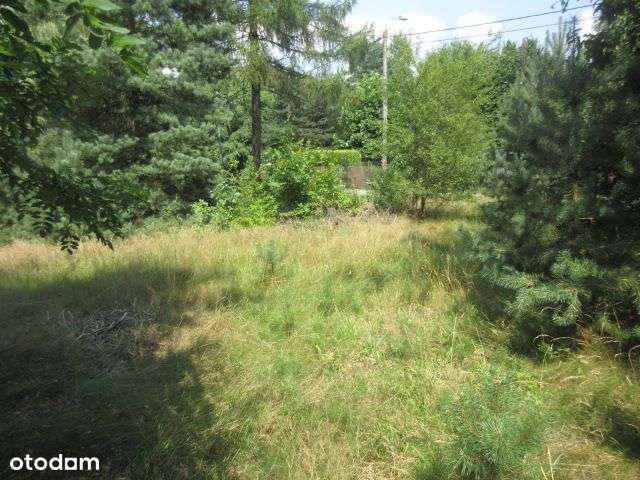 Działka budowlana bezpośrednio! - Pełny obrazek: 4/9