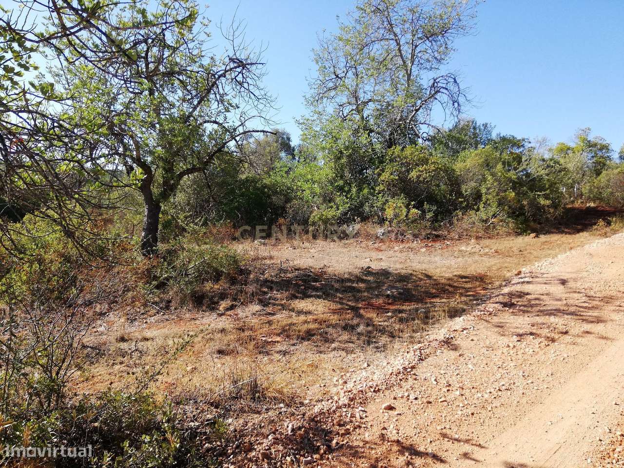 Terreno Plano - Grande imagem: 2/7