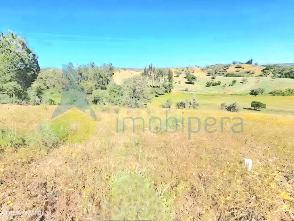 Terreno rústico com excelente localização, situado perto de S. Bart... - Grande imagem: 5/9