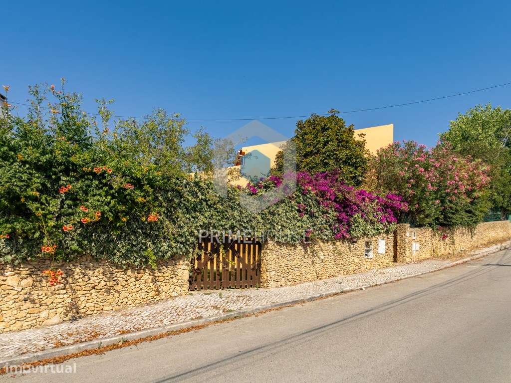 Moradia T5 Aldeia da Piedade - Grande imagem: 3/60